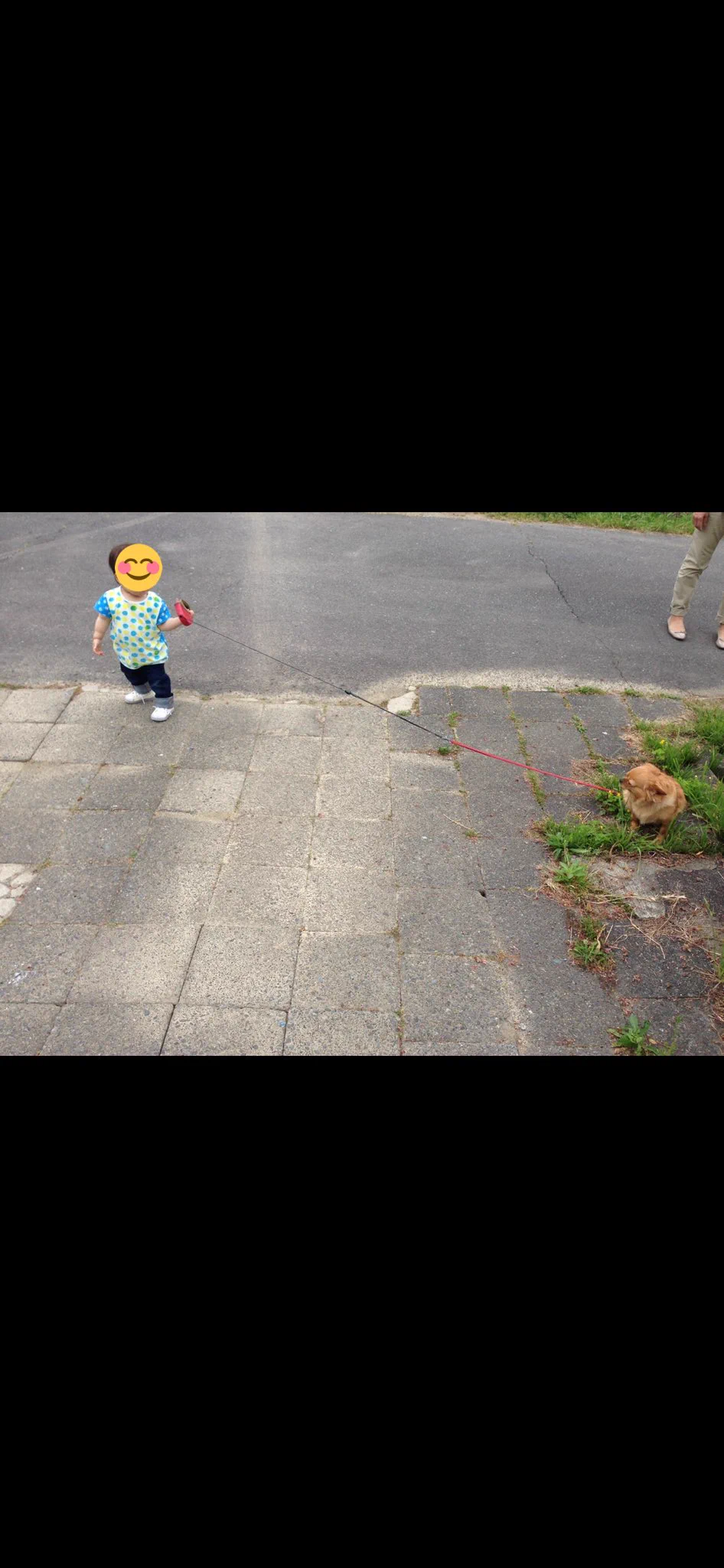 @takochan_aus 我が家もびくともしませんでした。こんな顔で拒否されてました。 