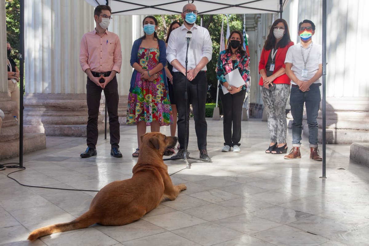 Gaspar Domínguez tweet media