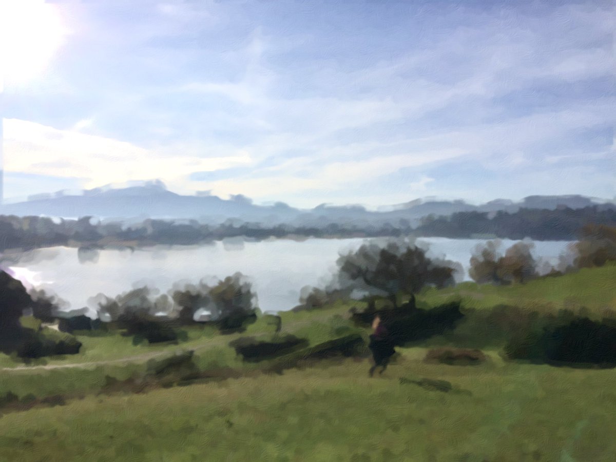 Du haut de Sainte Barbe
La baie est si calme -
Prendre de la hauteur

#haiku #saintjeandeluz #stebarbe #paysbasque #lacherprise #meditation #poesie