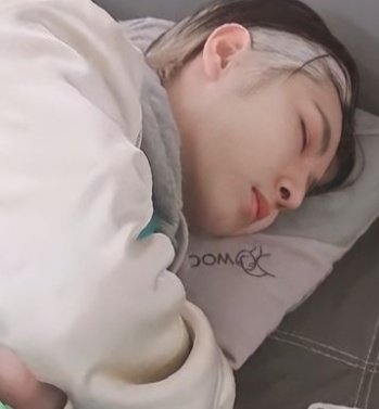 sirenrenjun2's tweet photo. Renjun                        Gatito https://t.co/yHLdmZISic