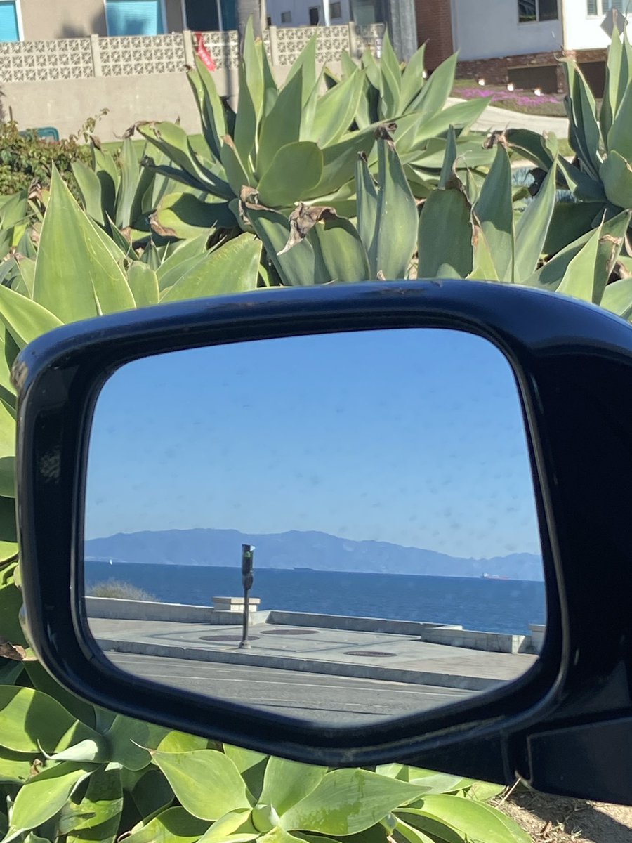 Fuzzboy_'s tweet image. L