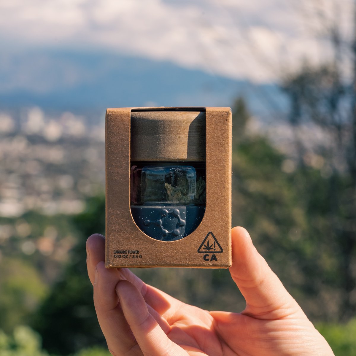 _THCDesign's tweet image. Our new eco-friendly packaging was inspired by Los Angeles and nature. ♻️💚 #THCDesign