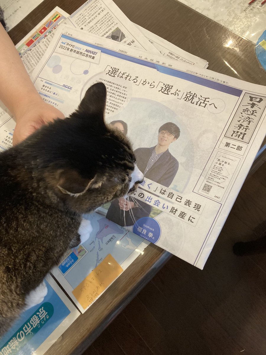 Aiko S Optimal Today