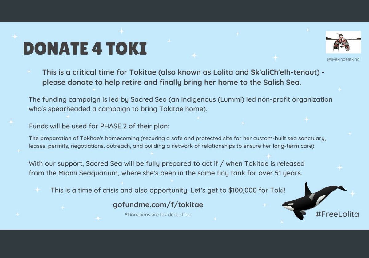 PLEASE SHARE 4 LOLITA
Please support the gofundme to secure Tokitae's Salish Sea home.
gofundme.com/f/tokitae
#TokiArmy #FreeLolita #SaveLolita
