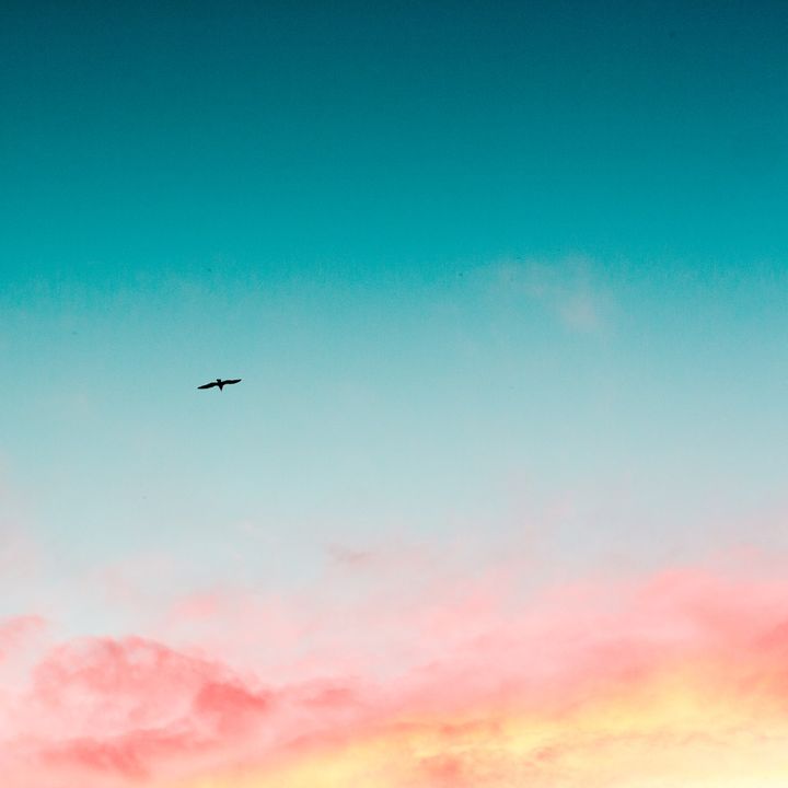 GaleForensic's tweet photo. Who else is a huge fan of sunsets?  Seriously my favorite time of the day.  Breath in the beauty around you.
.
.
#psychology #mentalhealth #mentalhealthawareness #indianapolis #Indiana  #emotionalhealth #happywords #postivevives #behappy #goals  #mentalhealthmatters  #yougotthis https://t.co/0pCtrbMlPC