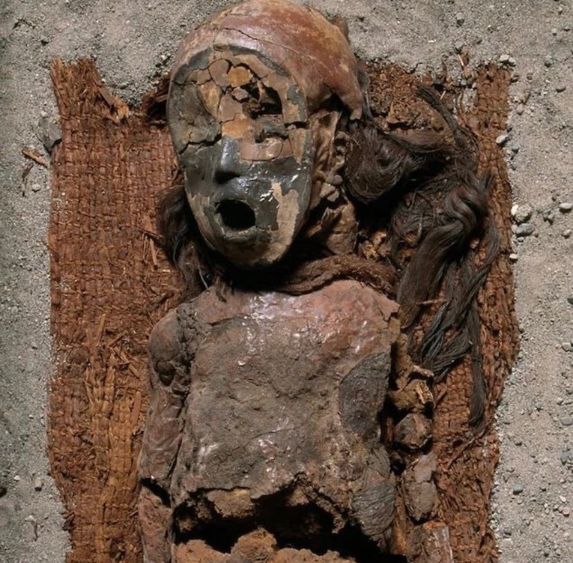 genesis fawn (@genesisfawn) on Twitter photo 