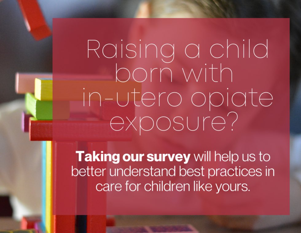 ToTheMoonAndBack tweet media