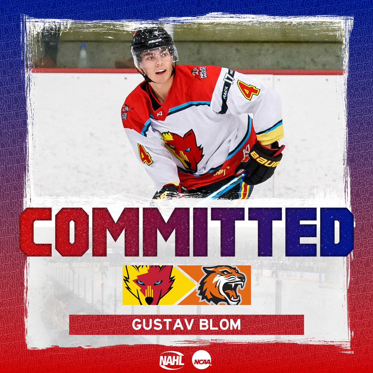 #NAHL Commitment Alert: <a href="/NMIceWolves/">New Mexico Ice Wolves</a> defenseman Gustav Blom <a href="/blom_gustav/">Gustav Blom</a> has committed to play NCAA Division I <a href="/collegehockey/">College Hockey Inc.</a> for <a href="/RITMHKY/">RIT Men's Hockey</a> in <a href="/Atlantic_Hockey/">Atlantic Hockey America</a> nahl.com/news/story.cfm…