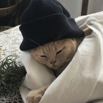 쿠아 #J (@aquariusjjh) on Twitter photo 