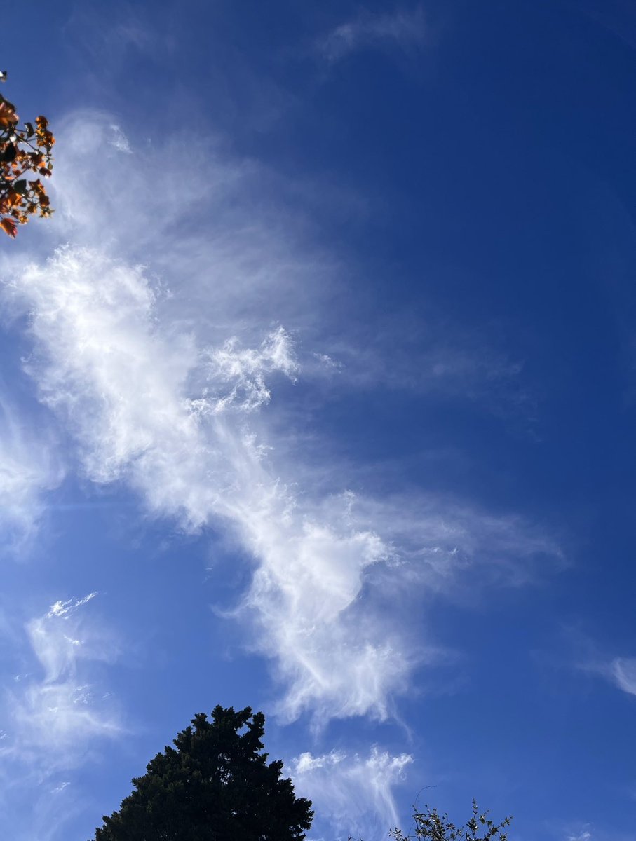 onlybeci's tweet photo. If Cirrus clouds☁️ could imitate the Milky Way…🤔
#WorldInMyWindow
#MorningWalk 👟
#CirrusCouds 🌤 https://t.co/Zp34czpHbJ