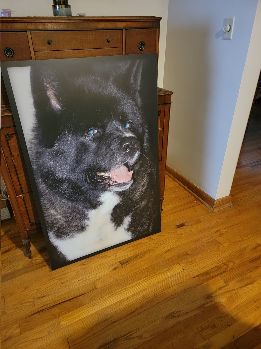 Finally getting around hanging pictures in the new place. Miss my big man Bear! Biggest dog with the biggest heart. I love that with my hubby's talent I never have to say goodbye to him. #myheart #DogLover https://t.co/Ye78rLNwIK