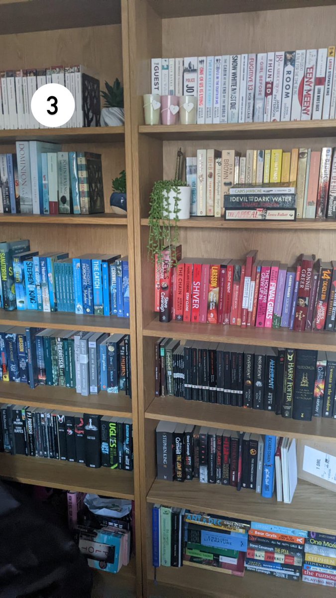 EnglishHessle's tweet photo. GUESS THE SHELFIE! 4 teachers, 4 bookcases. It is your job to match the teacher to the bookshelf. Our first round is:

Miss Hogg
Mrs O'Loughlin
Mr Kay
Miss Smyth

Get your guesses in and any correct answers will get you in the draw for a special prize! https://t.co/vi45UKKtjo