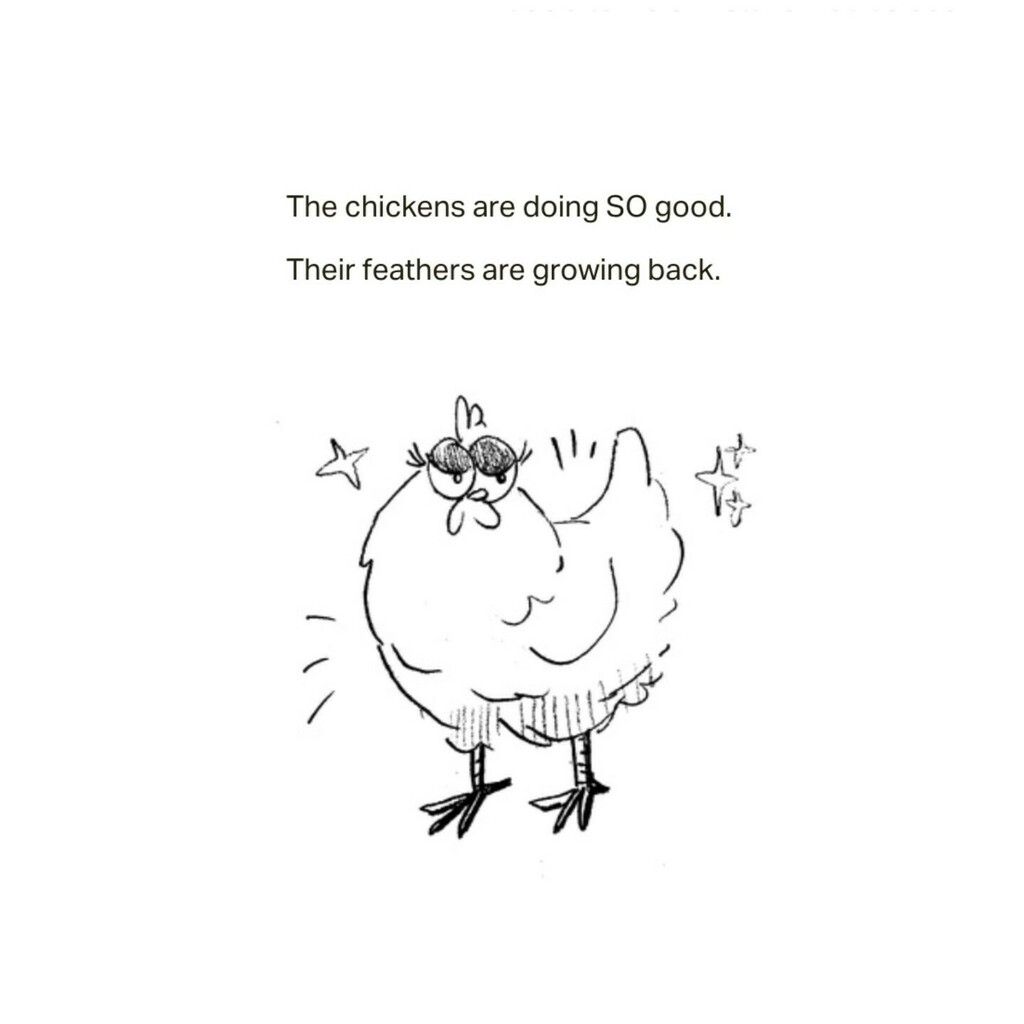 Bird Strips tweet media