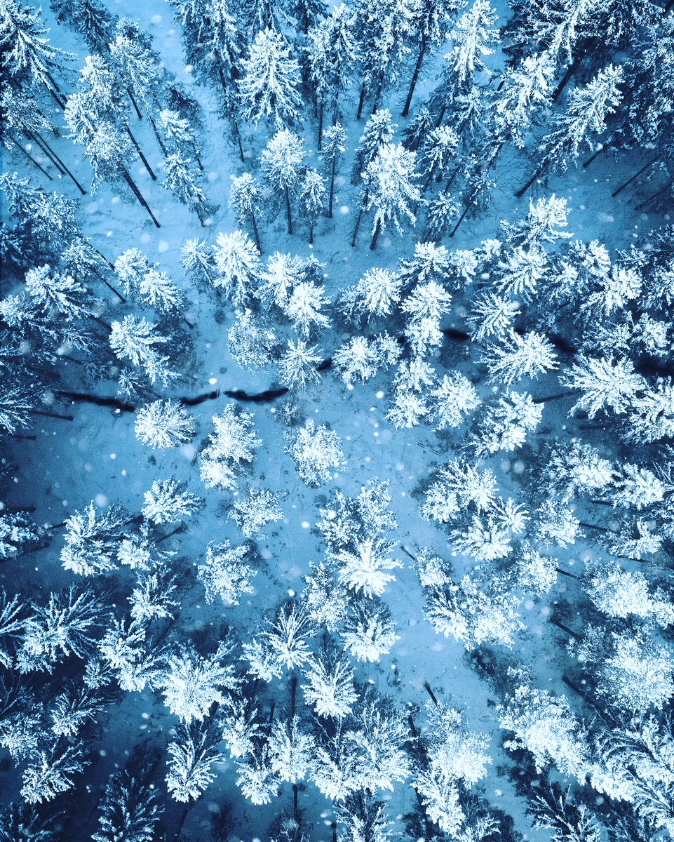 RogerH_Photo's tweet photo. Just me looking down on some trees from my DJI Mini2 🤷♂️❄️ #dji #winter #winterdrone #oslo #norway https://t.co/dvEEg5y7p9