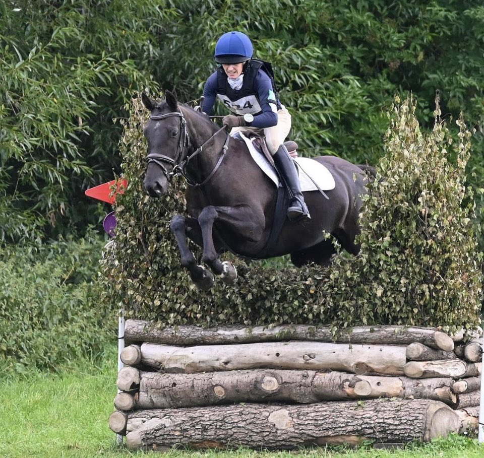 15.2hh dark bay mare 
By Cavalier Cruise/ Rouburn beach light 
6 
Lovely young horse with lots of potential, receiving consistently good dressage scores and a bold jumper with lots of scope. Good to hack alone and in company.
Good to shoe, etc  #forsale #eventer #irishsportshorse