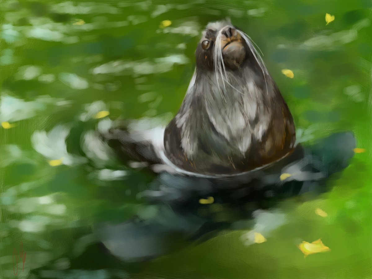 elenahicksi's tweet photo. Seal
on @opensea 
0.1 $ETH
https://t.co/SXPwxRsQso

#NFTs #NFTCommunity #nftart #NFTCollection https://t.co/B1o1zP7riJ
