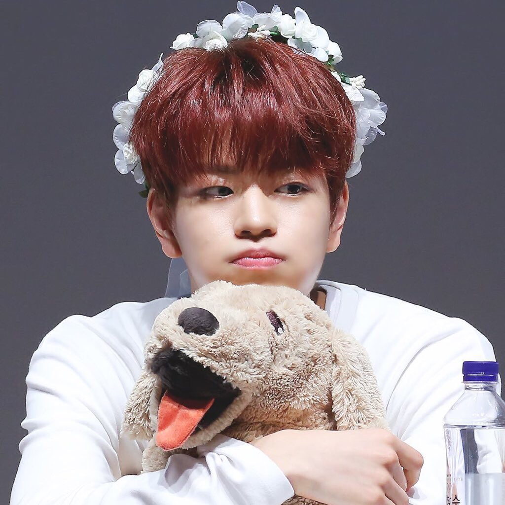 Сынмин skzoo. Сынмин skzoo. Чонин stray kids. Сынмин 2024. Сынмин skzoo.