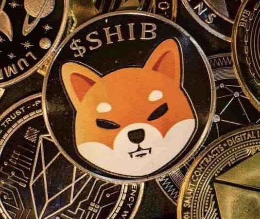 CoinHubCC's tweet photo. JUST IN: @AMCTheatres CEO Confirms $SHIB Coming As Online Payment Method For AMC!! https://t.co/schCxHuVPl
