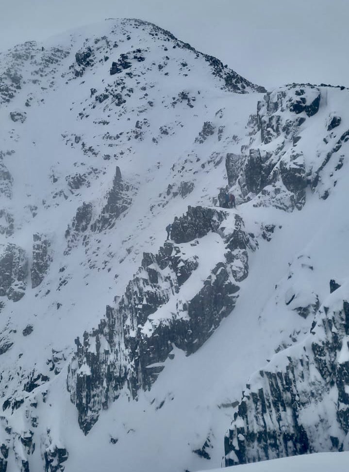 Rebecca Coles tweet media