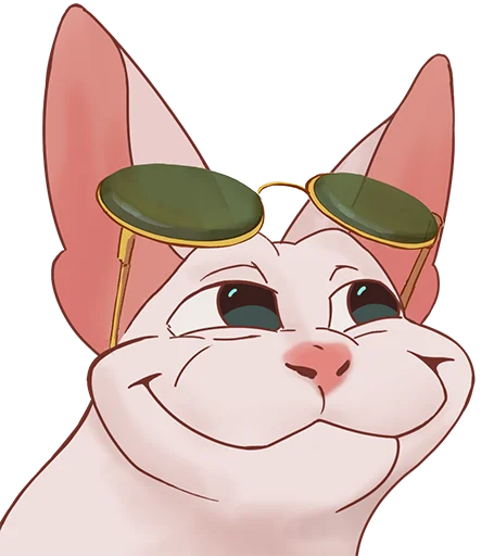 Bingus Network tweet media