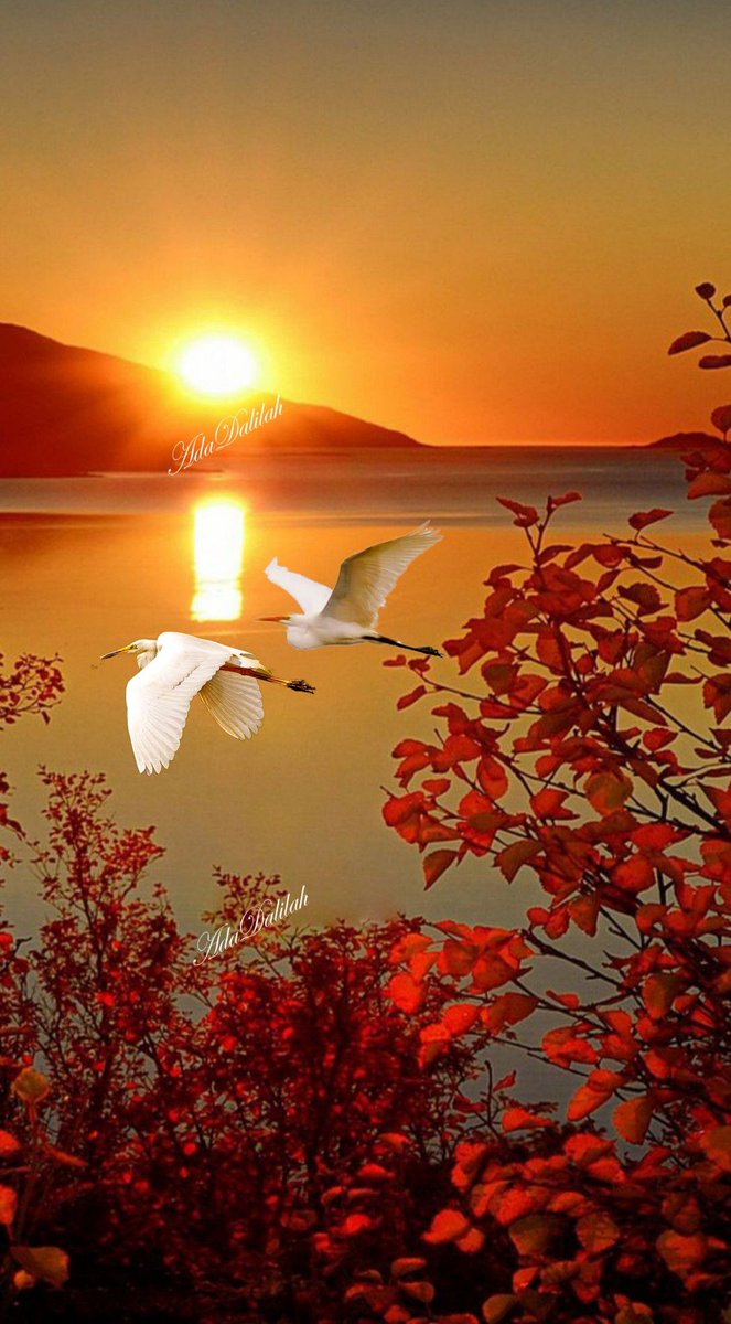 قالت له،
أحبك كثيرًا لدرجة أنني أفتقدك عندما أنام على الرغم من أنك معي على نفس السرير.
قال لها،
و انا احبك ايضا لكني لا افتقدك عندما انام لأنك معي في احلامي حتى استيقظ وارى يدي تعانق يدك.
..
رحمن