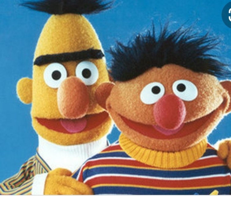 Bert embedding