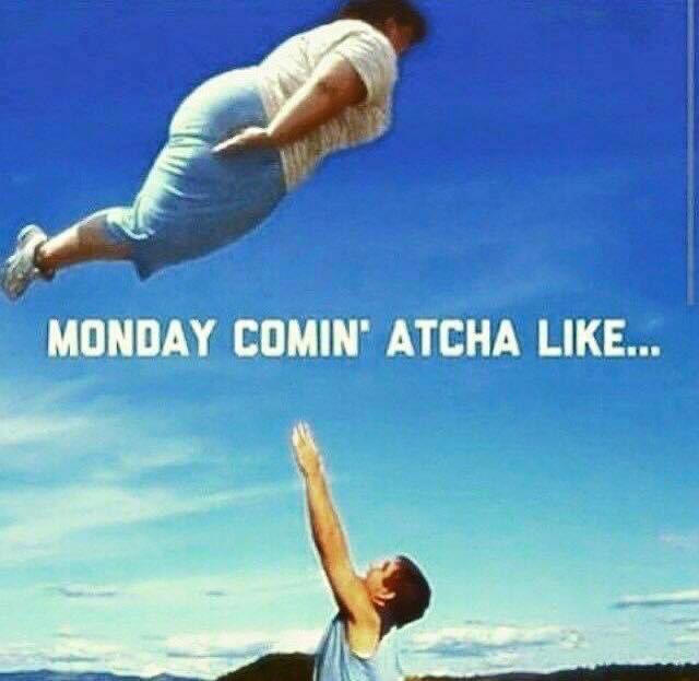 missrubycat's tweet photo. Monday here all day… https://t.co/KsS6CAGwLG