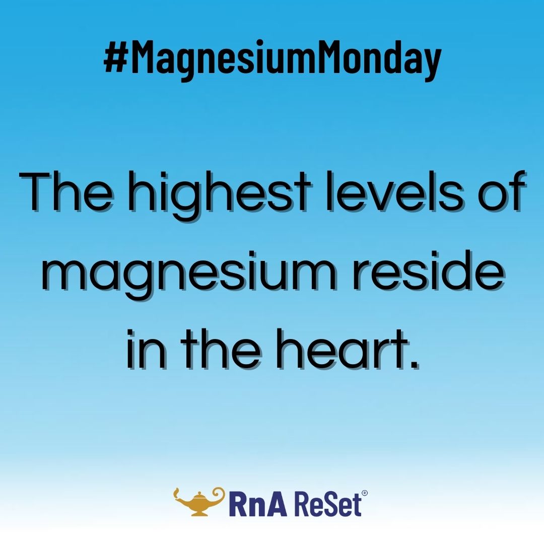 RnAReSet's tweet photo. An imbalance of this mineral, along with sodium, potassium, and calcium can alter the way the heart conducts electricity, and as a result, change the natural heart rhythm.
#MagnesiumMonday #magnesium #heart #hearthealth #sodium #potassium #calcium #electricity #natural https://t.co/wPf0KdZetk