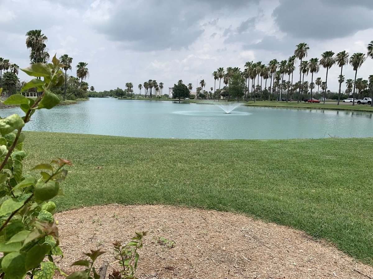 It’s a beautiful 🤩 day in Mission!!! ❤️‍🔥🌅🏵☀️🌟