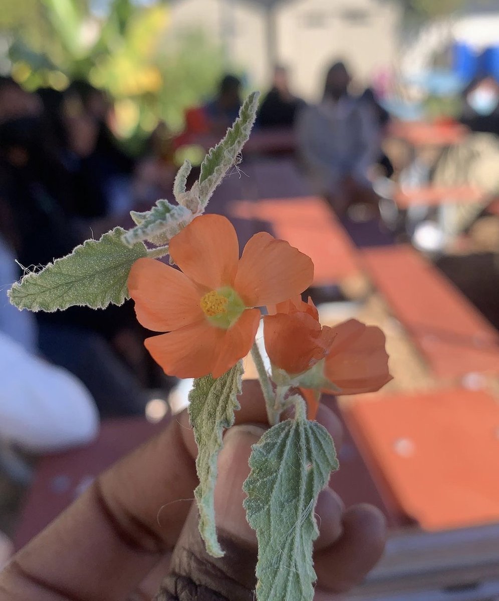 EnviroCharterSchools tweet media