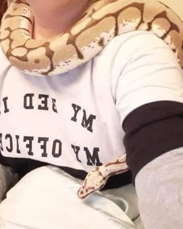 Kimberley 🐍 #snake <a href="/ReptileDiscov11/">Simon Goble</a>