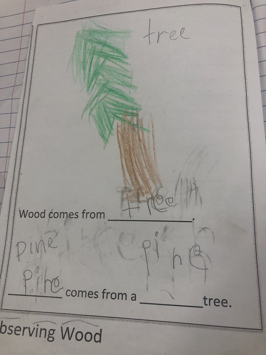 ShannonHatton23's tweet photo. Ms.Brown-Phillips class was rocking k science and learning about wood! Testing rafts, and starting to look at graphs and writing! @SCSDScience https://t.co/g5T09Xag1i
