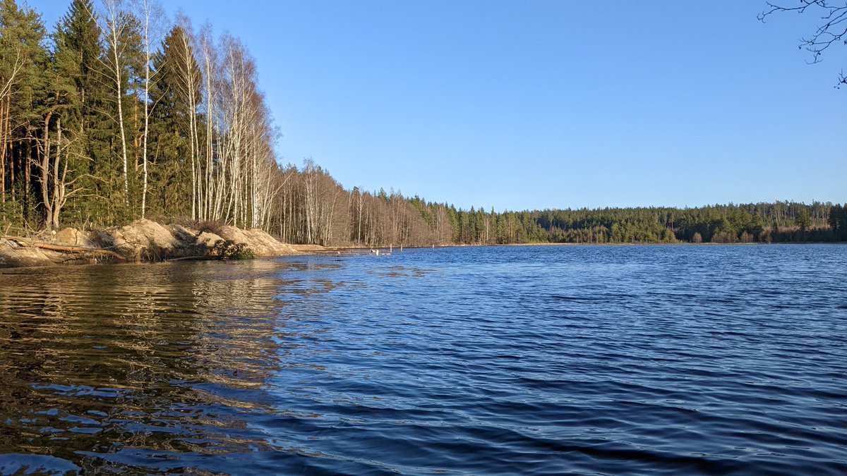 RehwagenMichael's tweet photo. @ralphruthe Kleiner Spaziergang am Breiten Teich. Immer wieder schön. https://t.co/xCi24t9Mm3