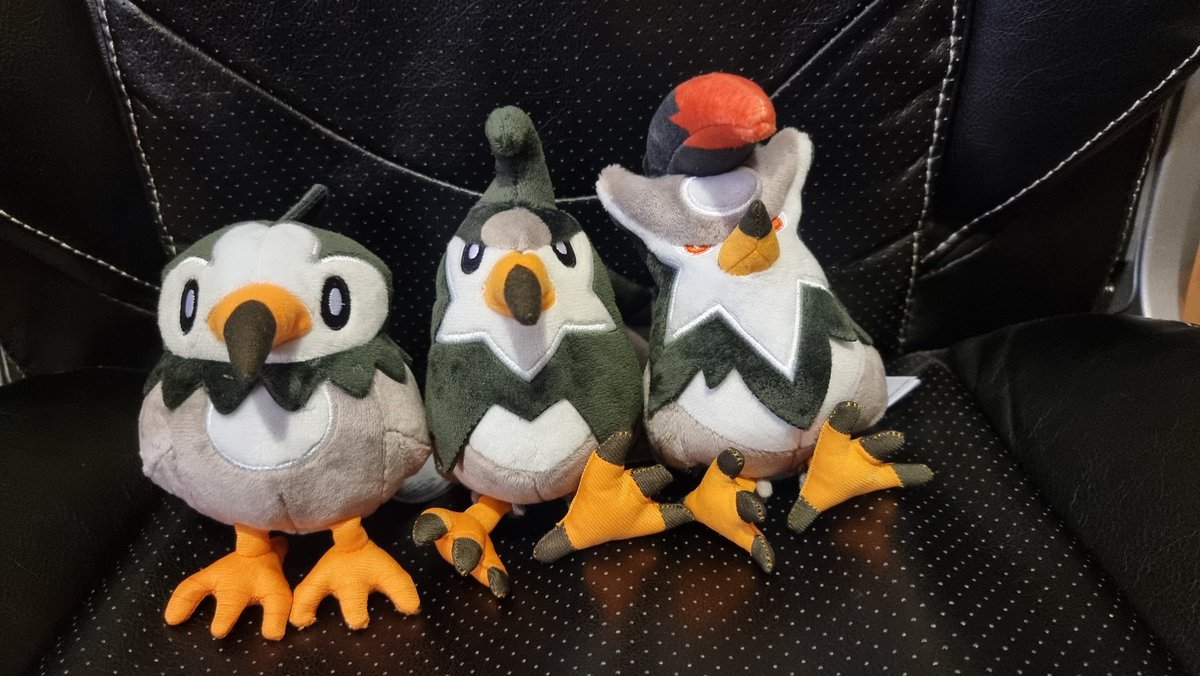 PhilRyall's tweet photo. Cute early birthday present from @FallenHades

I love my birbs. https://t.co/MROEatmx2s