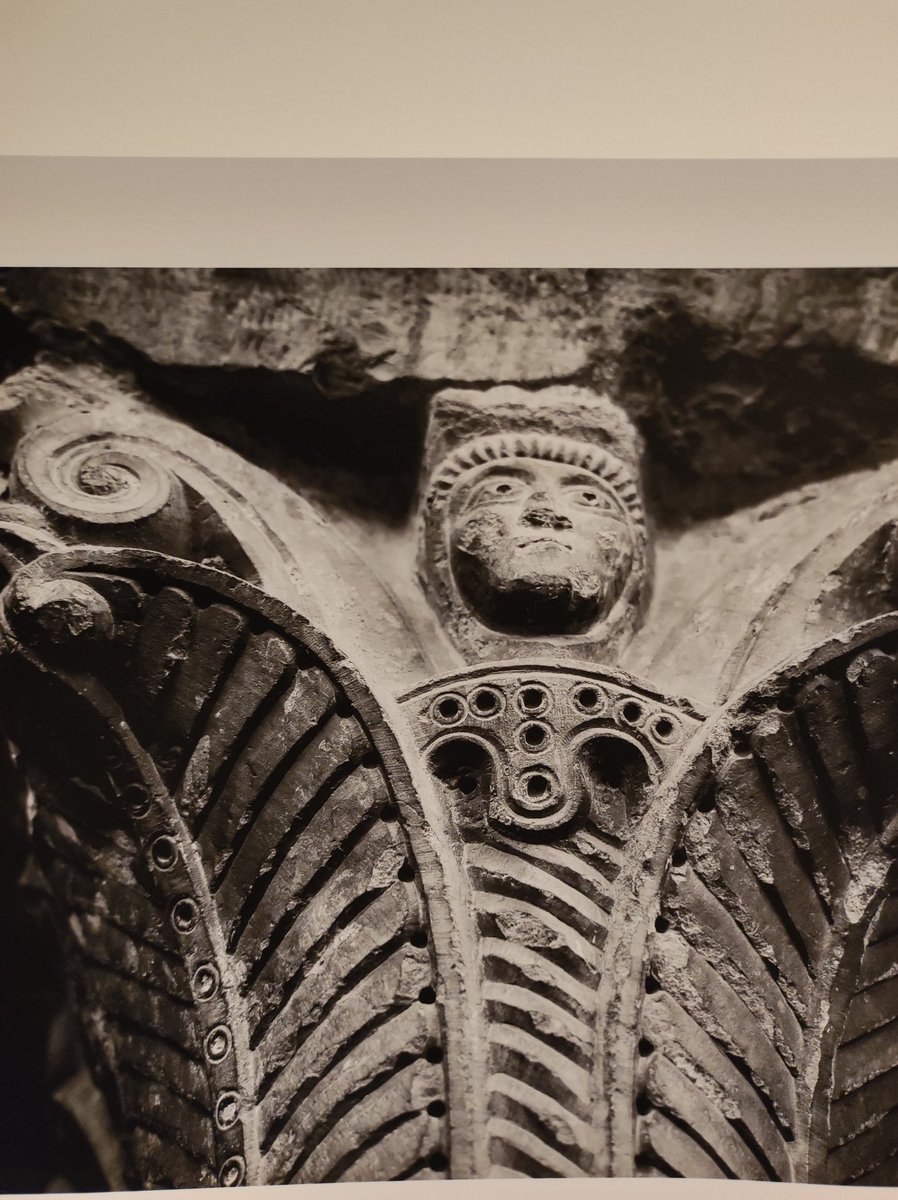 Ja surten les primeres fotos per la futura exposició al Castell de Montesquiu  📷Canon EOS r6 🖨️Image PROGRAF Pro-300.  Inauguració el dia 2 d'abril a les 12h00