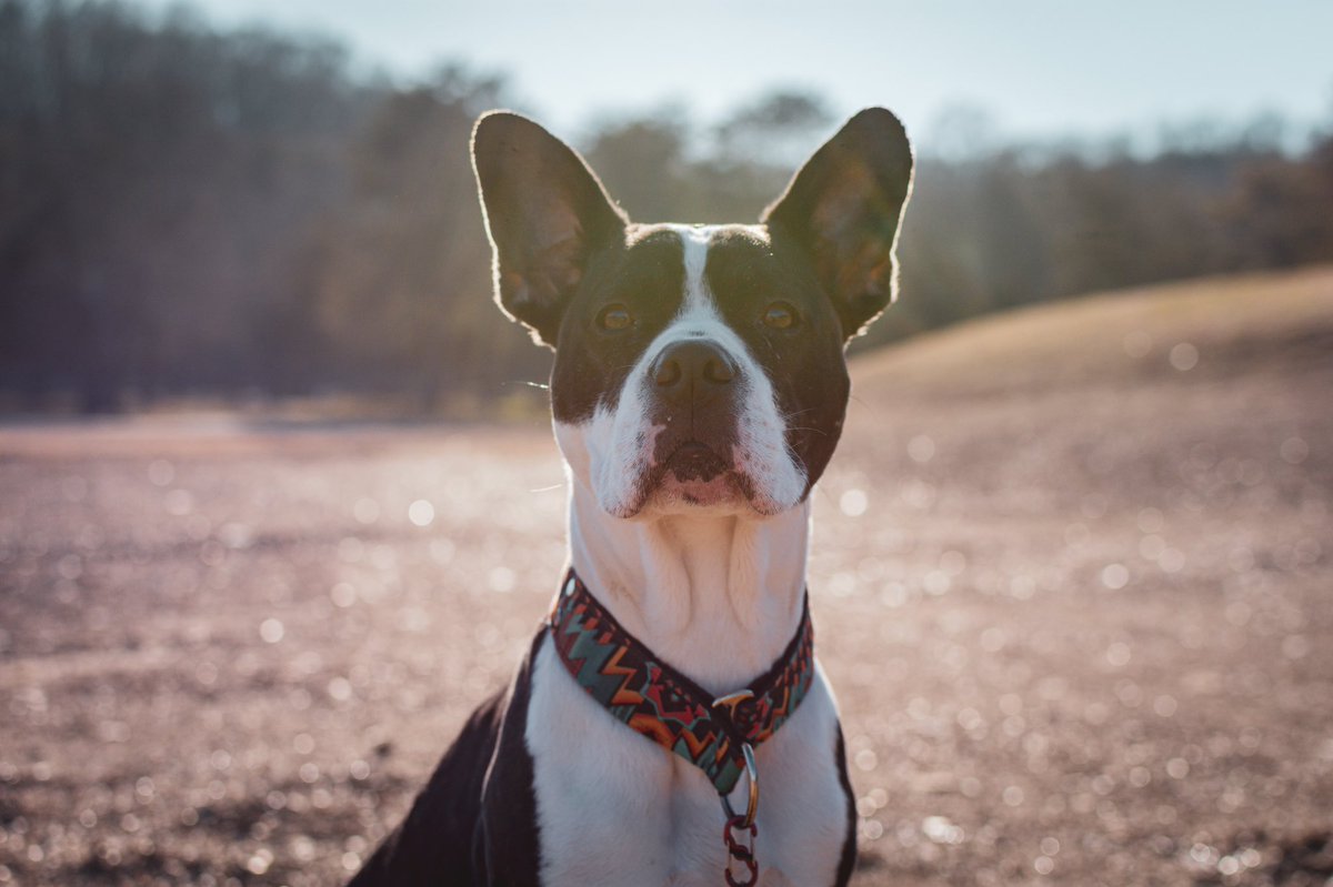 Mahala C tweet media