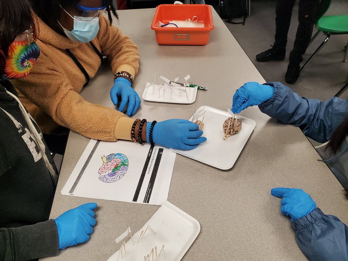 Keesha Ball tweet media