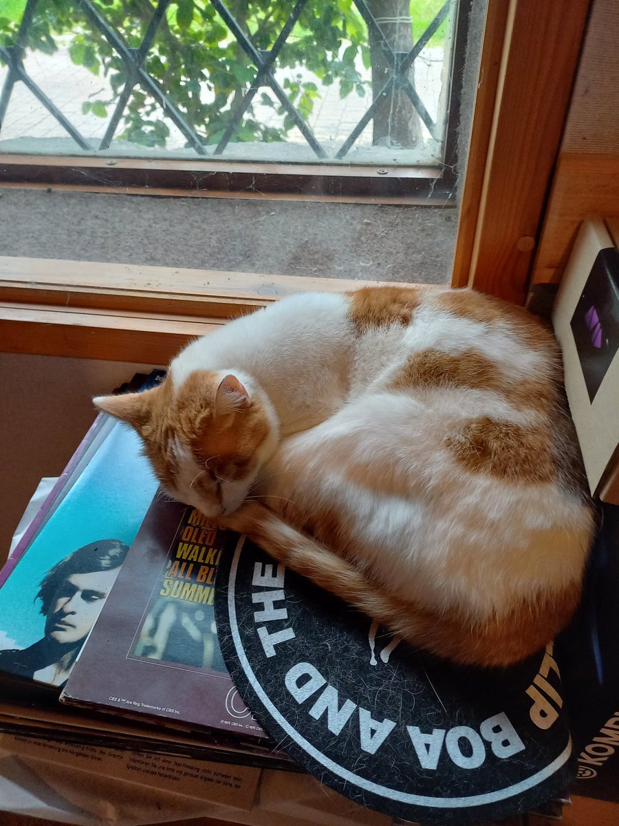 Obwohl es sehr schwierig ist, zur Zeit Konzerte zu buchen: Wie wir so hören, soll Phillip mit seinen Leuten entschieden haben, diese Woche 4 Shows bekanntzugeben. Keine supergroßen Städte, aber ein Anfang waere gemacht +es gäbe für einige mal  etwas,worauf sie sich freuen können