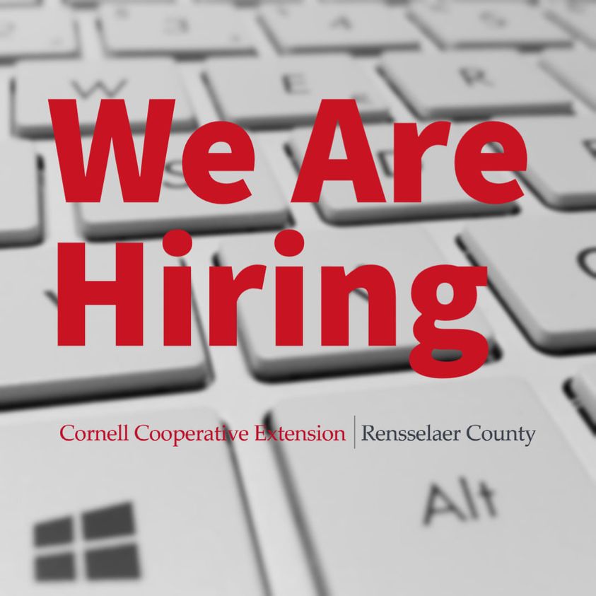 Seeking Candidates for an Agriculture Educator position.
 
For full position details and information on how to apply ccerensselaer.org/jobs

ALL APPLICATIONS MUST BE RECEIVED ONLINE BY 11:59 PM ON MARCH 15TH.