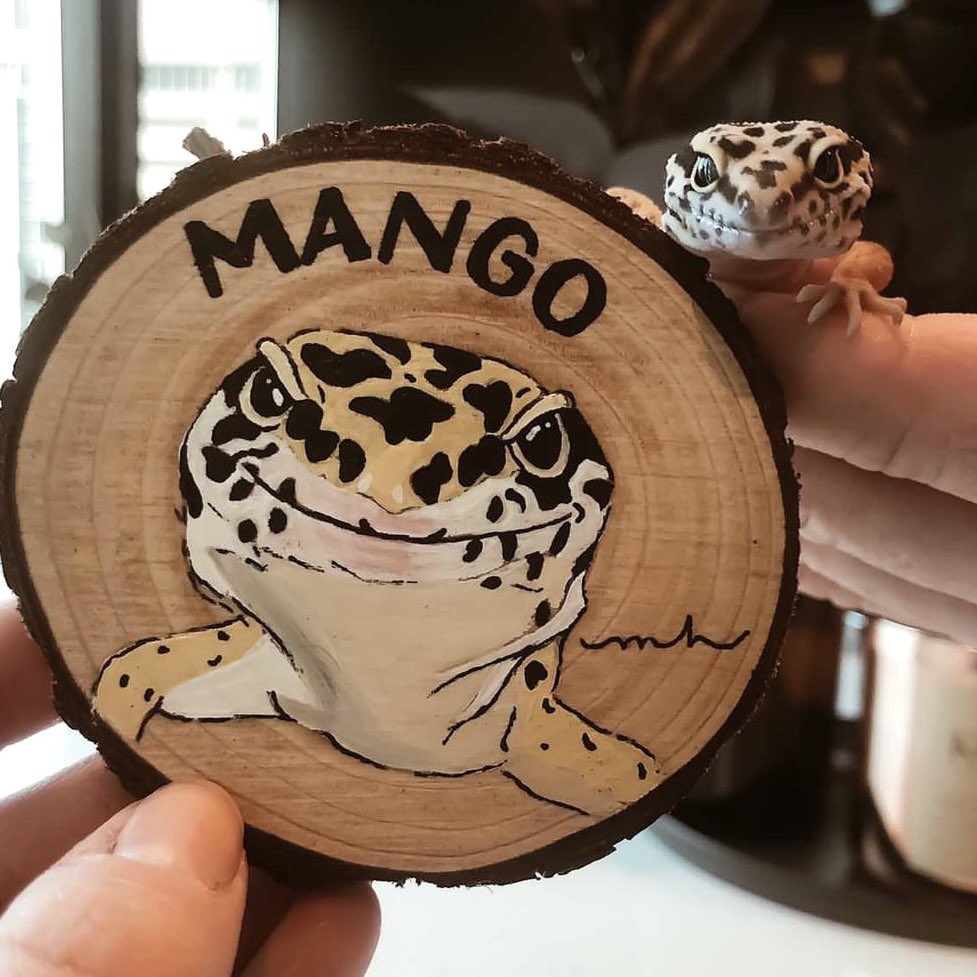 megspetpawtrait's tweet photo. this is your sign to snag a custom pet portrait ❤️🐾

https://t.co/GVy67cb2gm #megspetpawtraits #petportrait https://t.co/w7inpg8oA5