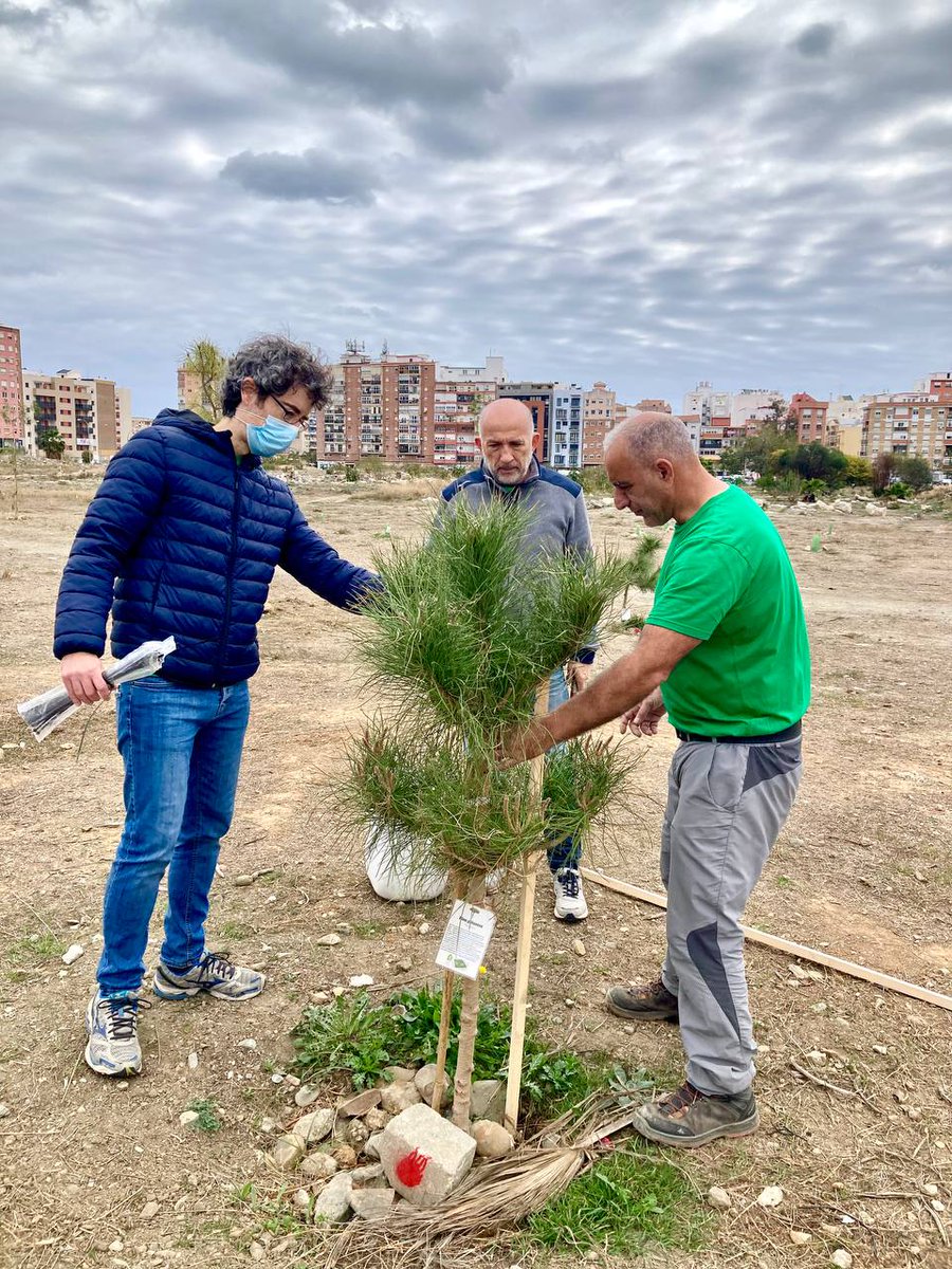 BosqueUrbanoMA's tweet photo. En el #DíaDeAndalucía, miembros de @BosqueUrbanoMA se han acercado a los terrenos a hacer tareas de #riego, #mantenimiento y #señalización de los más de 200 #árboles y #arbustos ya plantados. ¡Lo vamos a conseguir! 
#AmorPorLaTierra
#BUMVerdeYBlanco
#YoQuieroBUM 💚🌳 https://t.co/4XsY6zMcvw