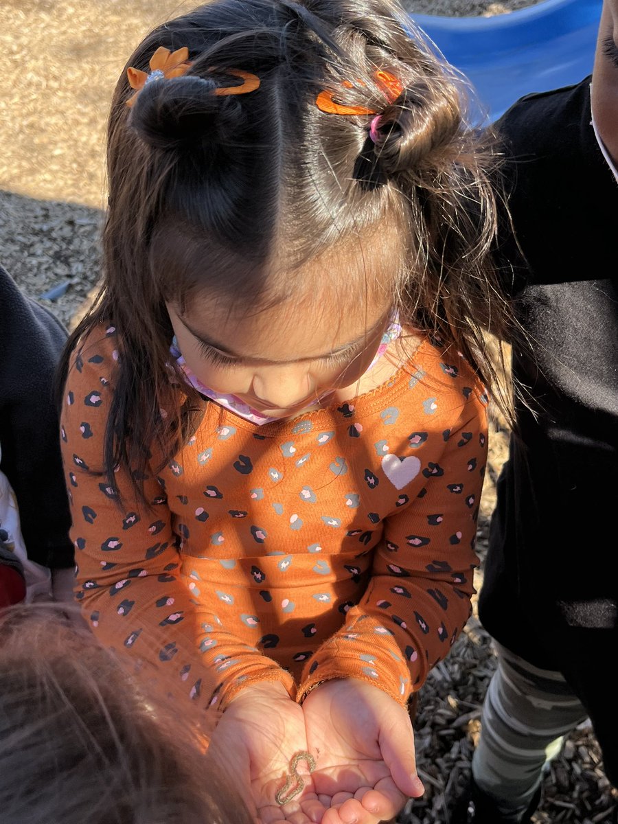 RCPS_EarlyLearn's tweet image. Worm Investigation
#playgroundscience #science #playgroundshenanigans #Mondayvibes #dph #pat