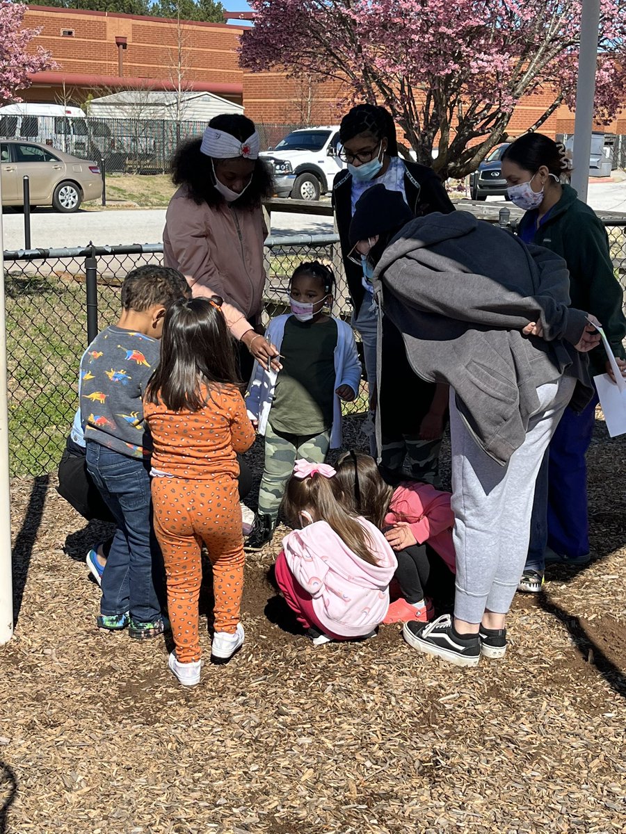 RCPS_EarlyLearn's tweet image. Worm Investigation
#playgroundscience #science #playgroundshenanigans #Mondayvibes #dph #pat