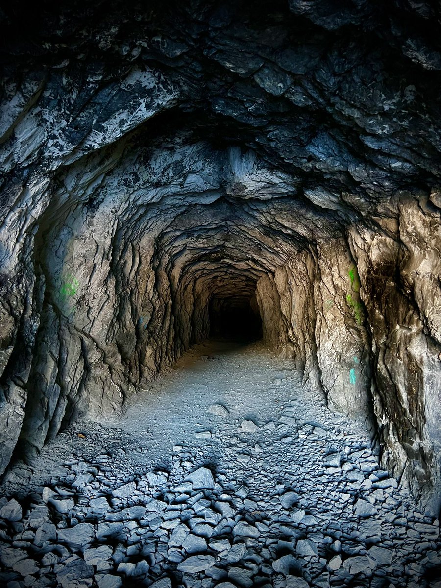 Fernie Mariam tweet media