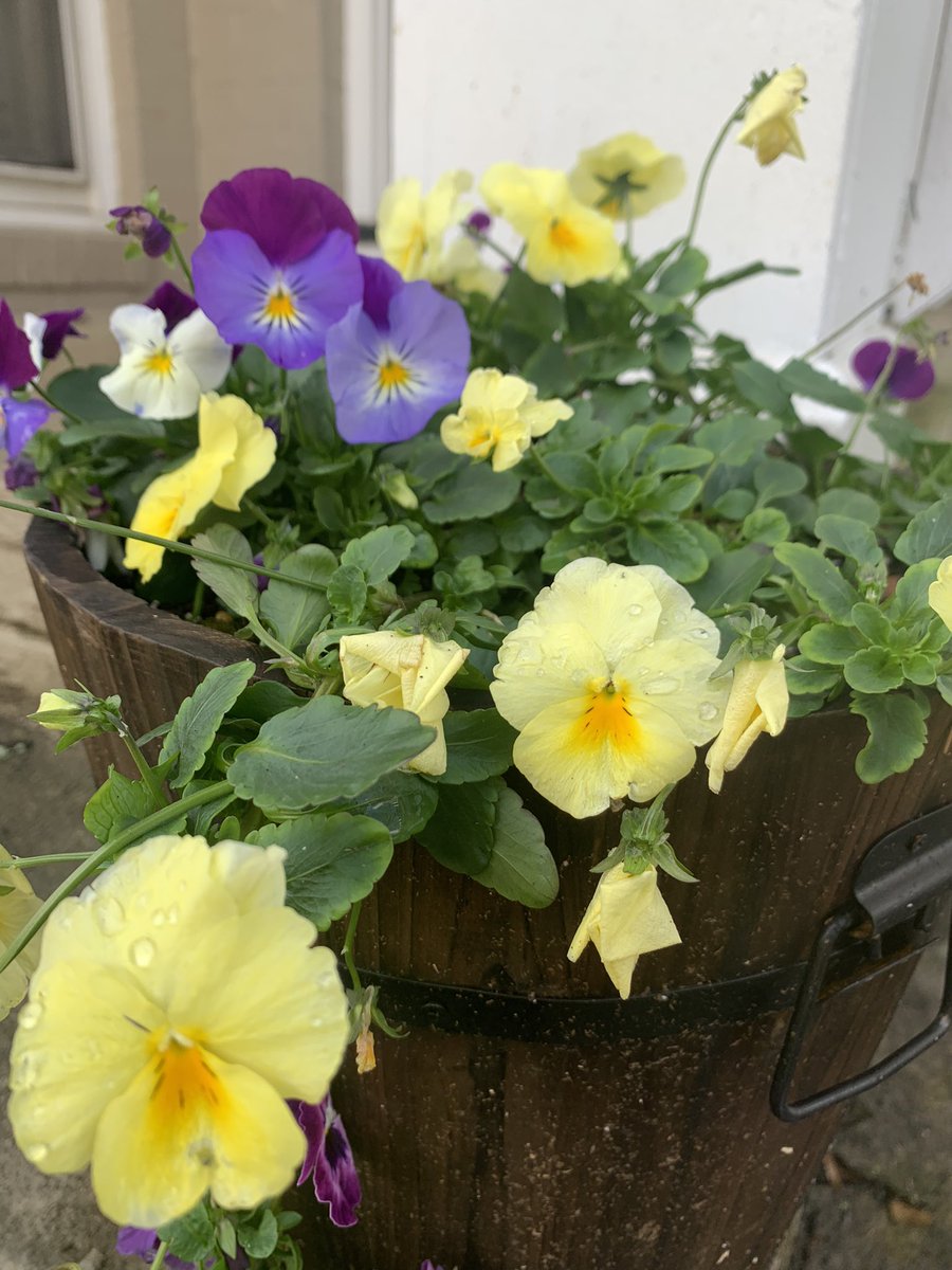 Lauren Patrick tweet media