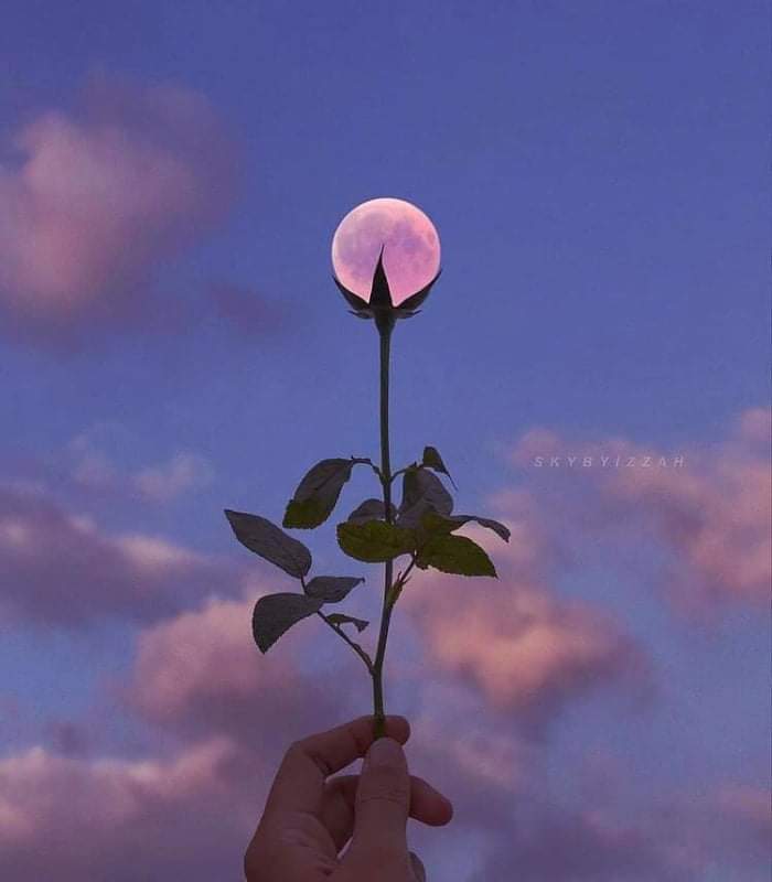 Tomorrow is another day