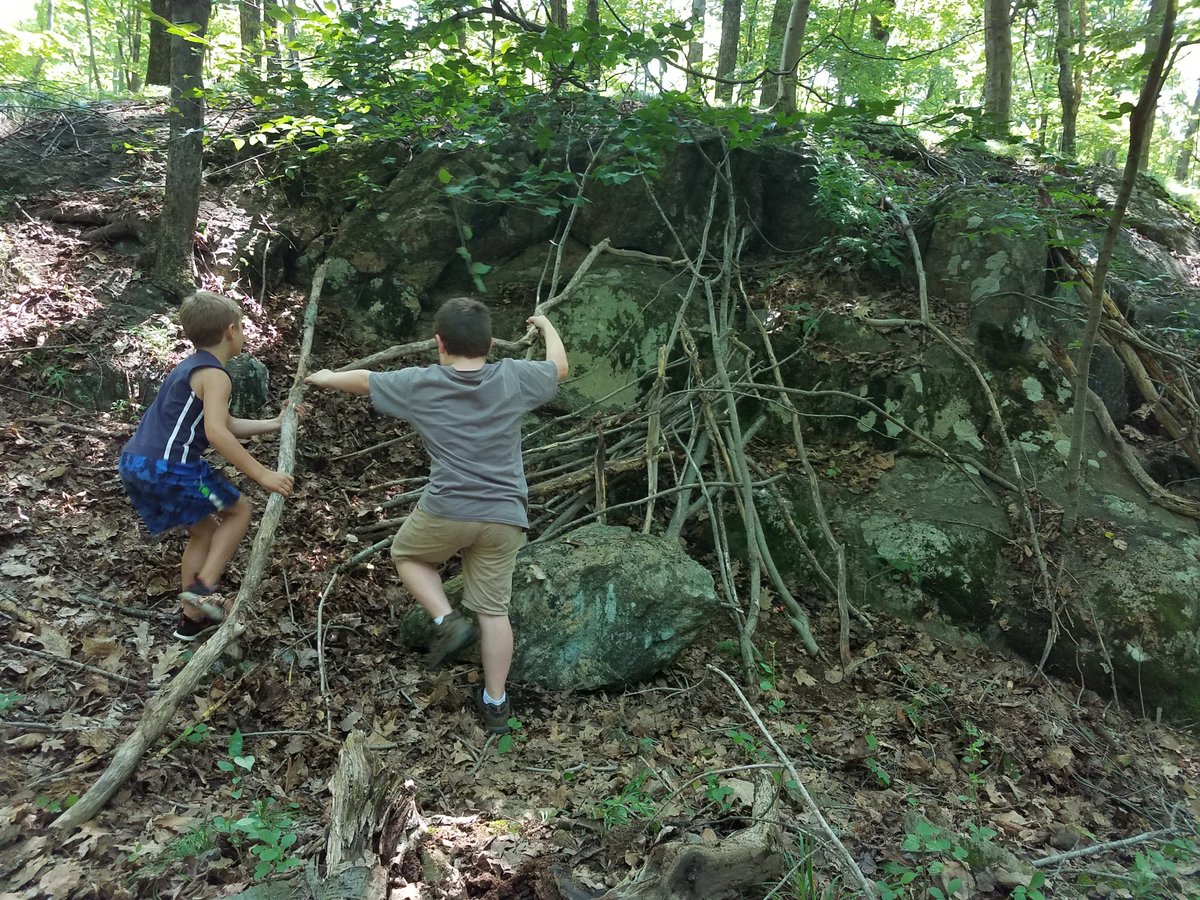 We’re learning to survive in the ‘wilds’ of the PNW BOCES campus at our Into the Thick of It camp for 3-5th graders, August 1-5! Register today and check out our other camp offerings to get outside and connect with nature this summer at bit.ly/YoungNaturalis….