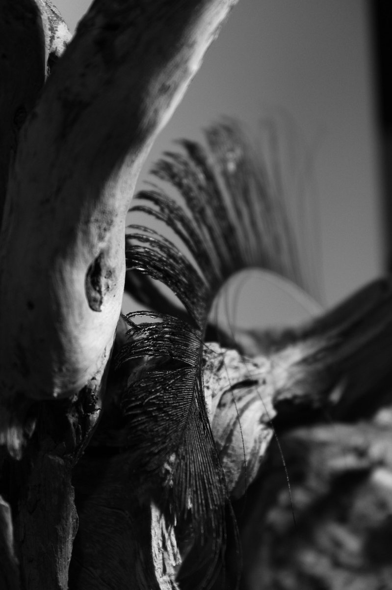 [3] 

زیبایی ظاهر و باطن در هم آمیخته اند،اما بعضی غرق در ظاهر هستند و بعضی در جستجوی باطن.
آفتاب،درخشش زیبایی را در چشمان هرکس متناسب با باور های او تعریف میکند.
راستی 
زیبایی برای تو چگونه تعریف می شود؟