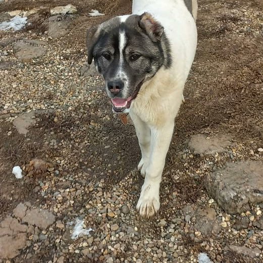 Мила Пим tweet media