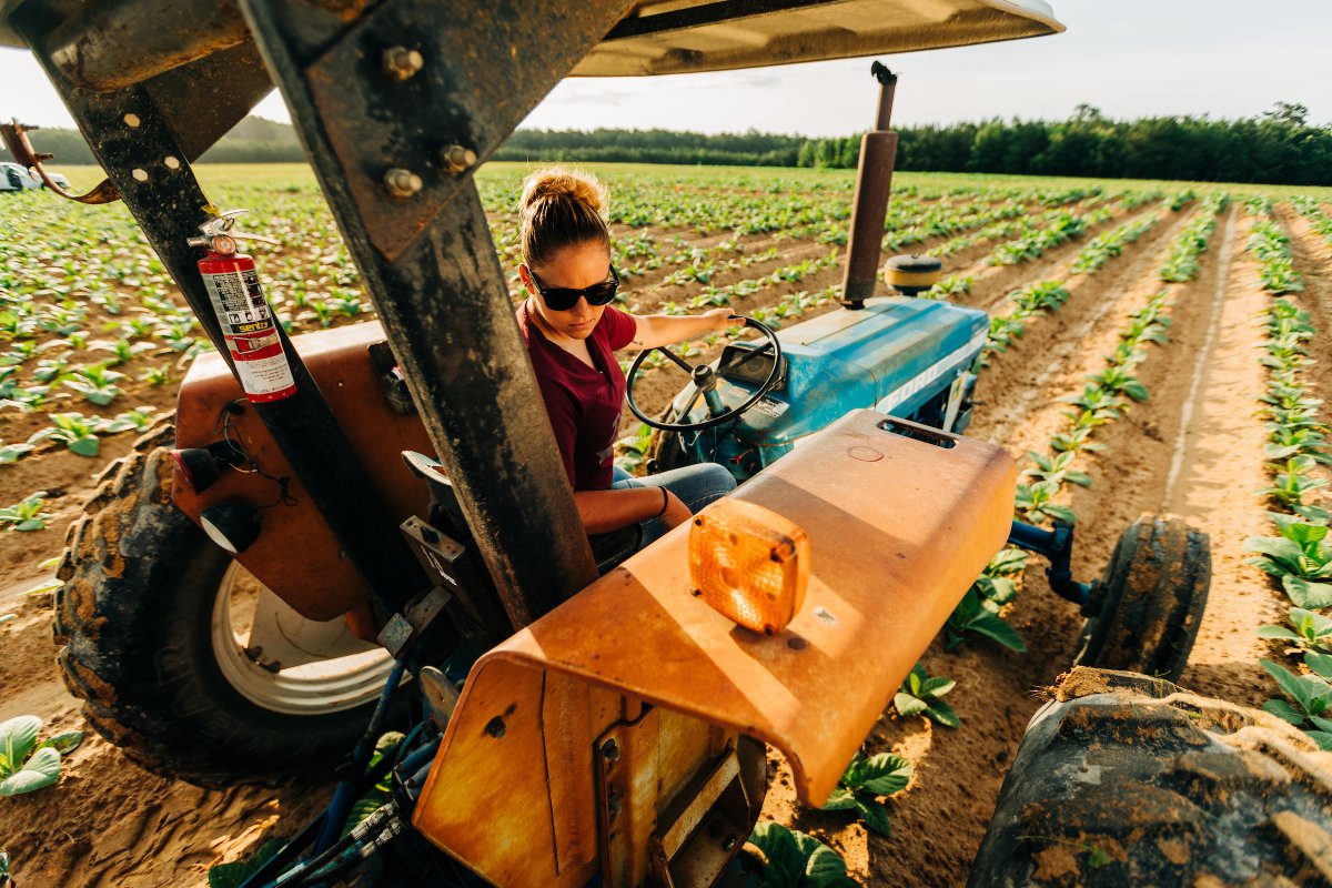 VTCals's tweet photo. Join us April 12-13 at the 2022 VA Agriculture &amp; Natural Resources Summit to discuss and envision opportunities for expanding the economy and security of Virginia’s agriculture, natural resources, and food systems. 

Learn more: https://t.co/4YydU6vtxV 
#VirginiaTechCAIA https://t.co/9DOFDK0Mpi